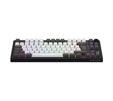 Clavier Gamer sans fil mécanique (Hator Aurum Linear) Hator Skyfall 80 Pro TKL RGB (Noir)