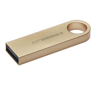 Kingston Technology DataTraveler 128Go 220Mo/s Clé USB 3.2 Gen 1 Métal SE9 G3