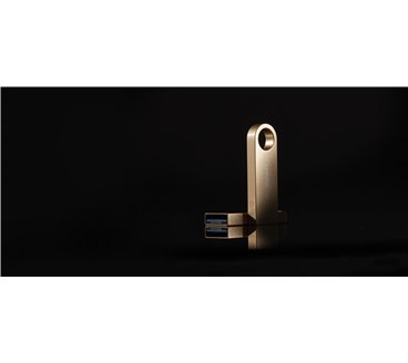 Kingston Technology DataTraveler 128Go 220Mo/s Clé USB 3.2 Gen 1 Métal SE9 G3