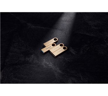 Kingston Technology DataTraveler 128Go 220Mo/s Clé USB 3.2 Gen 1 Métal SE9 G3