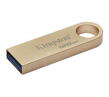 Kingston Technology DataTraveler 128Go 220Mo/s Clé USB 3.2 Gen 1 Métal SE9 G3