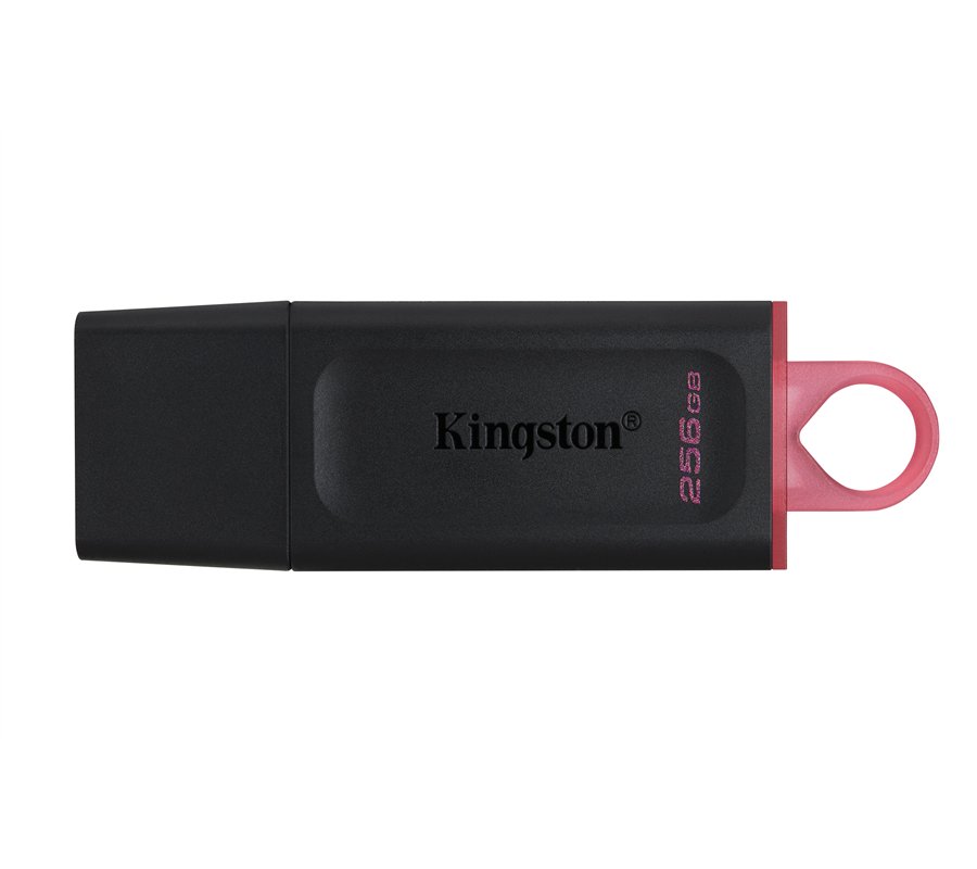 Clé USB 3.2 Kingston DataTraveler Exodia - 256Go (Rose/Noir)
