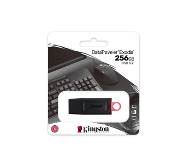 Kingston Technology DataTraveler Exodia USB flash drive