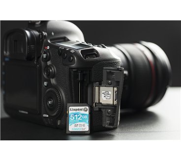 Kingston Technology Canvas Go! 512 Go SDXC UHS-I Classe 10