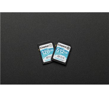 Kingston Technology Canvas Go! 512 Go SDXC UHS-I Classe 10