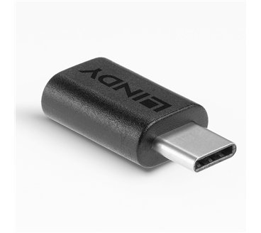 Adaptateur USB-C Lindy vers USB-C (Noir)