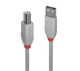 Cable Lindy USB 2.0 vers type B M/M 2m (Gris)