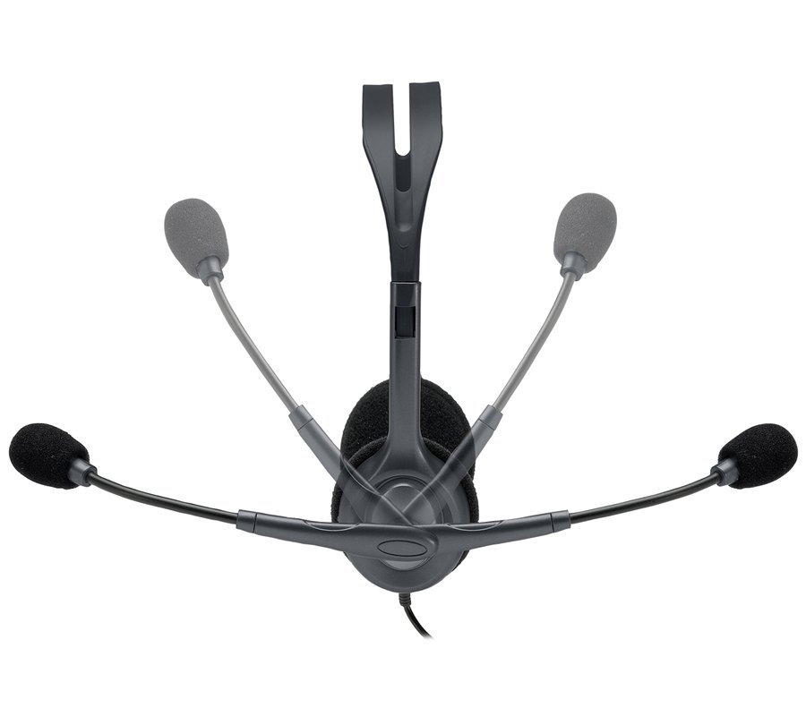 Casque Micro Logitech H111 (Noir)