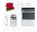 Câble Nanocable USB-C - Lightning M/M 2m (Blanc)